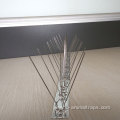 Stainless Steel Deterrent Bird Spikes Plastic Pest